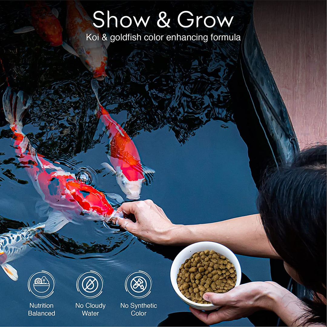 Best food for koi fish hotsell