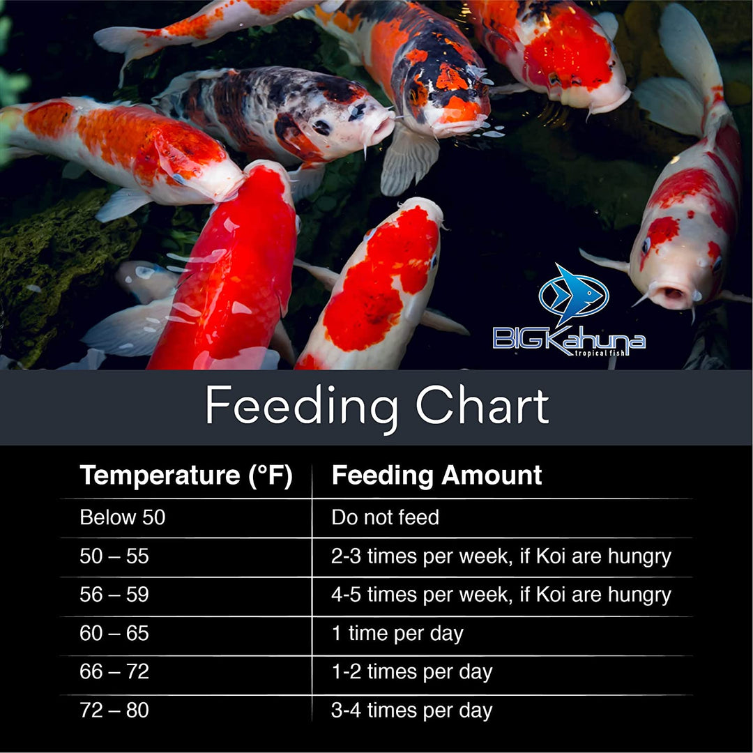 Food Koi Food Big Kahuna Tropical Fish